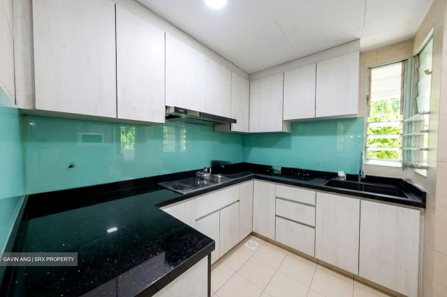 The Clearwater (D16), Condominium #595058101